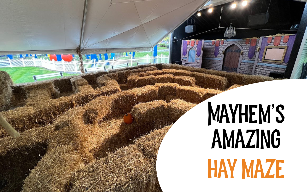 Mayhem Maze