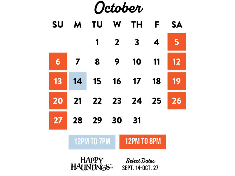 DWO Calendar Months Copy - DWOSeptember24